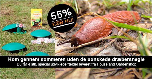 Slut med dræbersnegle og colibakterier - effektive dræbersnegle fælder