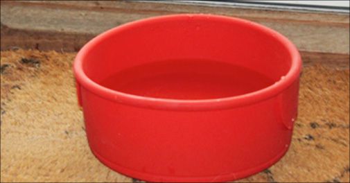 Lækre og praktiske silikone foderskåle 