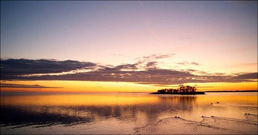 Bo på 4-stjernede Bandholm Hotel ved havn og skøn strand