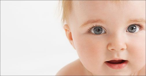 Vælg mellem bogen med former og farver eller bogen med tal og dyr!