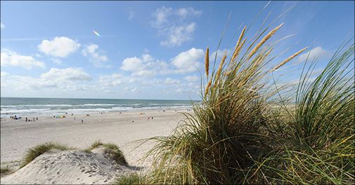 Skøn beliggenhed direkte ved Europas bredeste sandstrand.. 