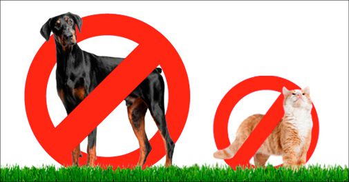 Slip af med ubudne katte og hunde