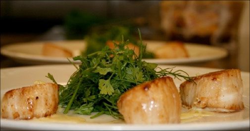 Skønne idylliske naturomgivelser - Velkommen til Reersø Kro