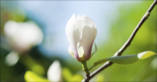 Kroppen FORTÆLLER hvad der skal arbejdes med.