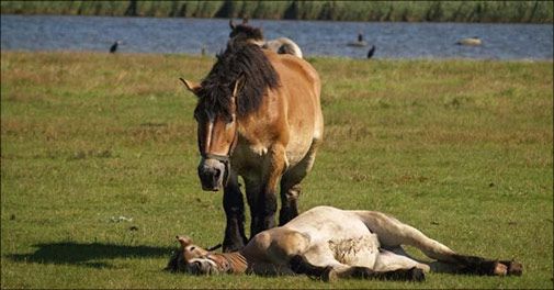 Skønt ophold på Strandvejen i dejlige naturomgivelser