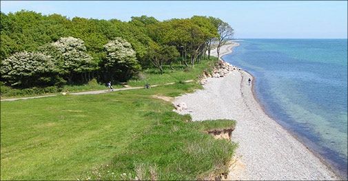 Prøv den skønneste fiskebuffet inkl. vinmenu på Bagenkop Kro