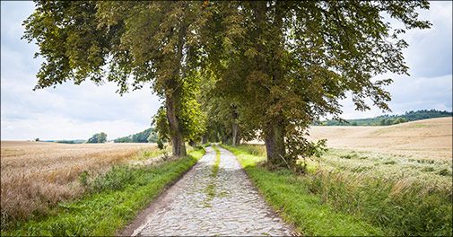 Dejlig miniferie på Hotel Neetzer Hof i Niedersachsen, Tyskland