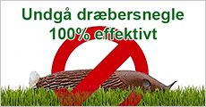 Dræbersneglefælder 3-pak eller 6-pak fra Houseandgardenshop, værdi op til kr. 1199,-