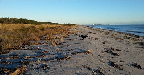 Nyd et dejligt ophold på Hotel Grenaa Havlund - tæt på strand og skov 