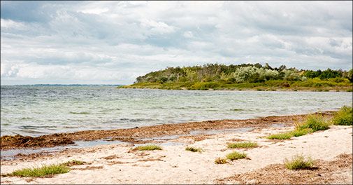 Nyd smukke Femø med et ophold på Femø Kro & Feriecenter!