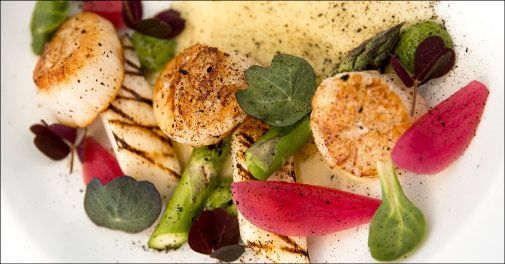 Velkommen på Hotel Præstekilde