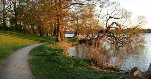 Skøn atmosfære og utrolig lækker mad - Velkommen på Postgaarden i Sorø!