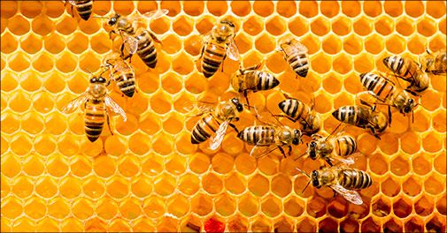 Hold huden flot og ung!