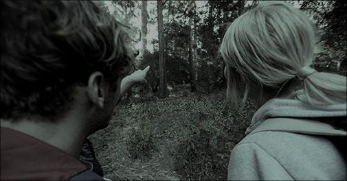 GAVEN til alle naturelskende nat-ugler!