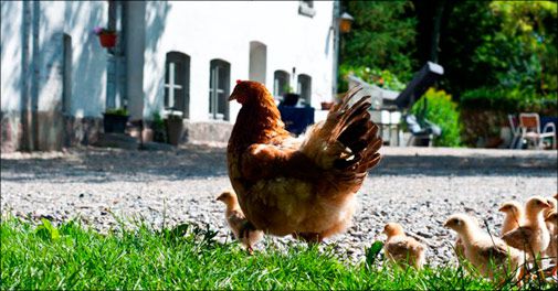 Familieferie på Lolland