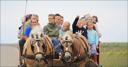 Bo lige midt i Naturpark Vadehavet ved Højer Mølle og i cykelafstand til den tyske grænse..