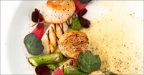 Kilden til gode oplevelser - Velkommen på Hotel Præstekilde på Møn