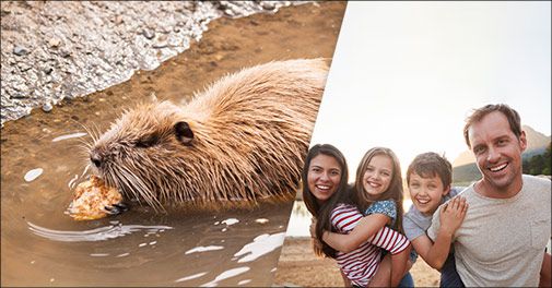 Tag børnene med til skønne Silkeborg og få en på opleveren i AQUA Akvarium & Dyrepark og bo på Radisson Blu Hotel..