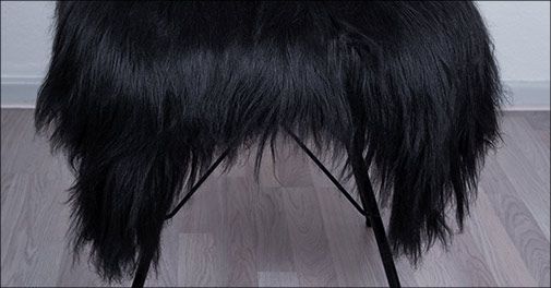 Lammeskind af højeste kvalitet!