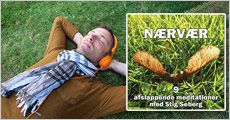 Download til Lydbogen Nærvær - 9 afslappende meditationer med Stig Seberg, værdi kr. 165,-