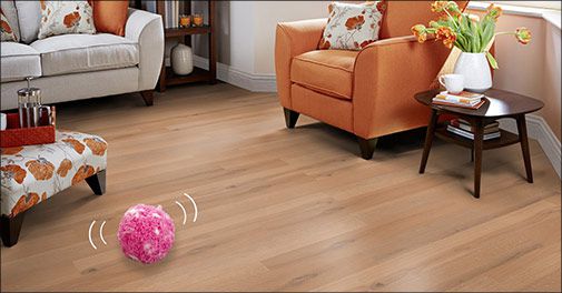 Super god til rengøring og har du kat, vil den også elske den :)