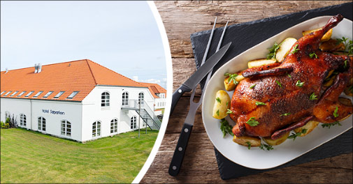 Billigt Mortens Aften ophold for 2!