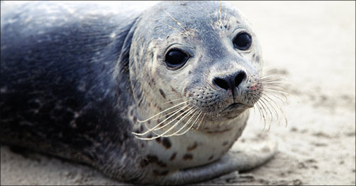 Tag på et skønt ophold med mad & vin