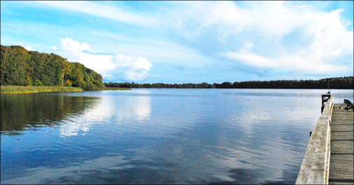 Nyd et skønt ophold ved Dyrehaven 