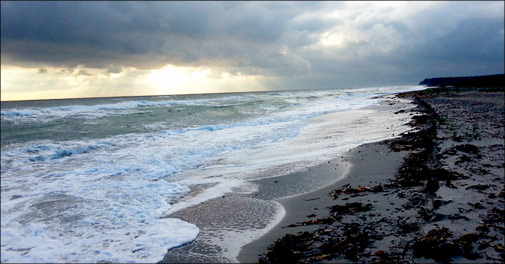 Dejligt ophold for 2 tæt ved strand, golf, skov mm.. 