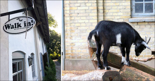 Skøn bondegårdsferie på Sydsjælland
