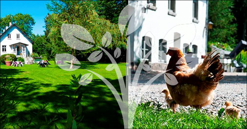 Skøn bondegårdsferie på Sydsjælland