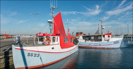 Miniferie for 2 med berømt fiskebuffet