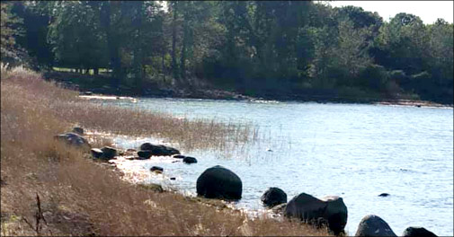 Fantastisk natur - skønt ophold