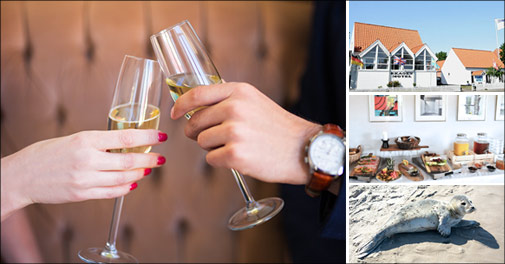 Boblende billigt ophold for 2 i Skagen