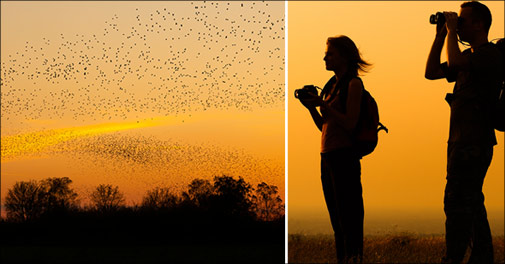 Oplev Sort Sol - Fantastisk ophold ved Vadehavet