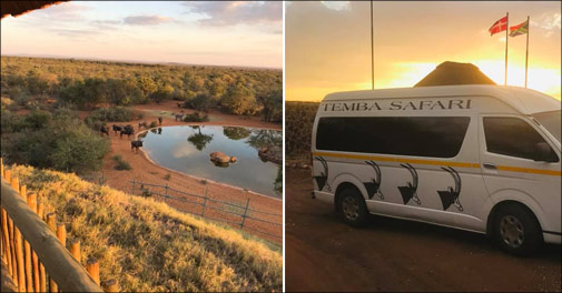 Fantastisk safari tur i Sydafrika