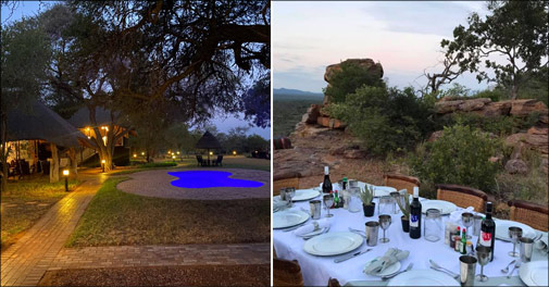 Fantastisk safari tur i Sydafrika