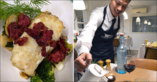 Oplev Naturpark Vadehavet i Sønderjylland