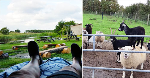 Dejligt ophold med ægte Sønderjysk kaffebord!