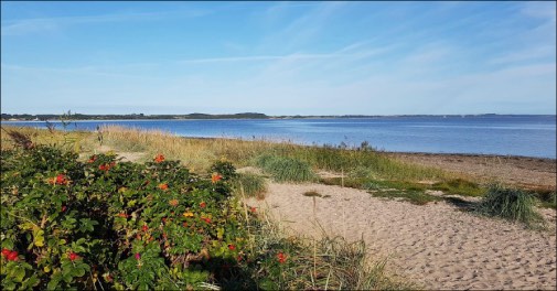 Ferie i ny Limfjordshytte med hygge, natur og oplevelser