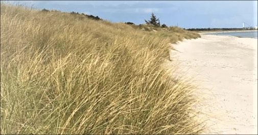 Deal banner imeage 3