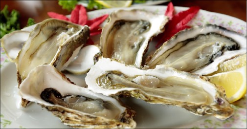 Overnatning i Tyskland og Østers Safari i marsken