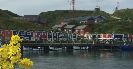 Guidet Helgoland udflugt med unikt fugleliv og historie
