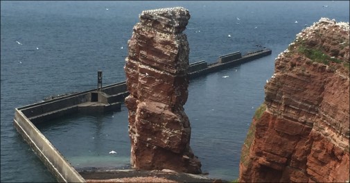 Guidet Helgoland udflugt med unikt fugleliv og historie