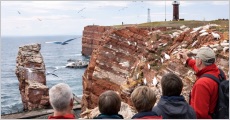 Helgoland med guide og 1 overnatning