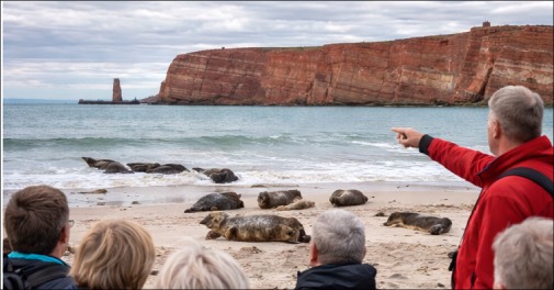 Helgoland med guide og 1 overnatning