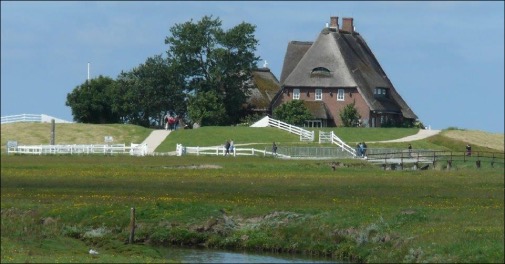 Dagsudflugt til Hallig Hooge med natur og kongelig historie