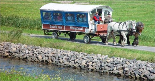 Dagsudflugt til Hallig Hooge med natur og kongelig historie