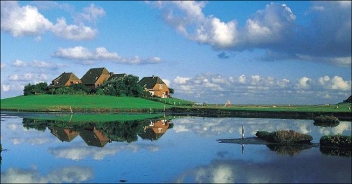 Dagsudflugt til Hallig Hooge med natur og kongelig historie
