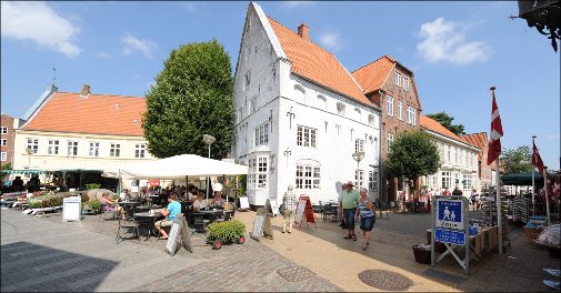 Hyggelig lejlighed tæt på grænsen og Vadehavet